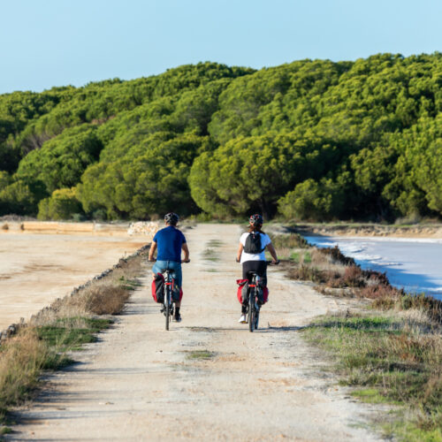 Trails of the Auhthentic Algarve